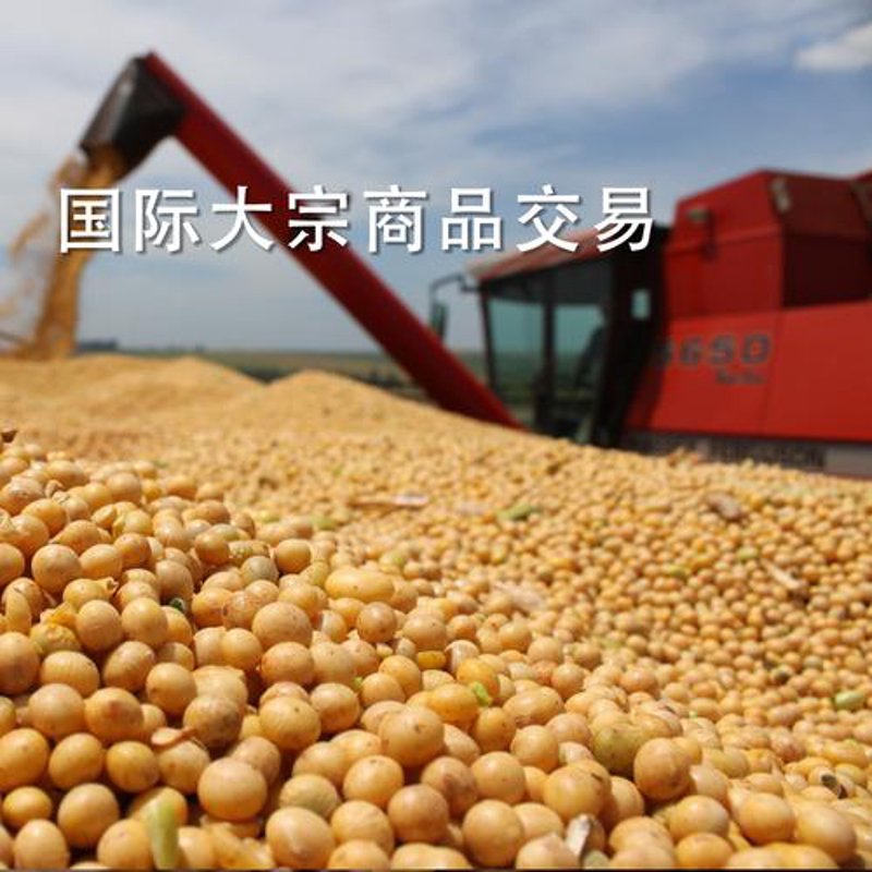 国内商品批发选购指南